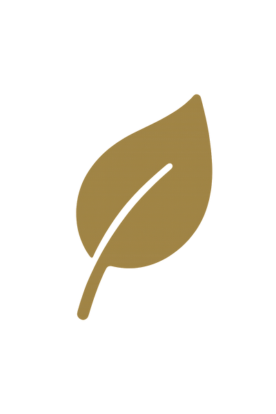 ONEFLOW STUDIO